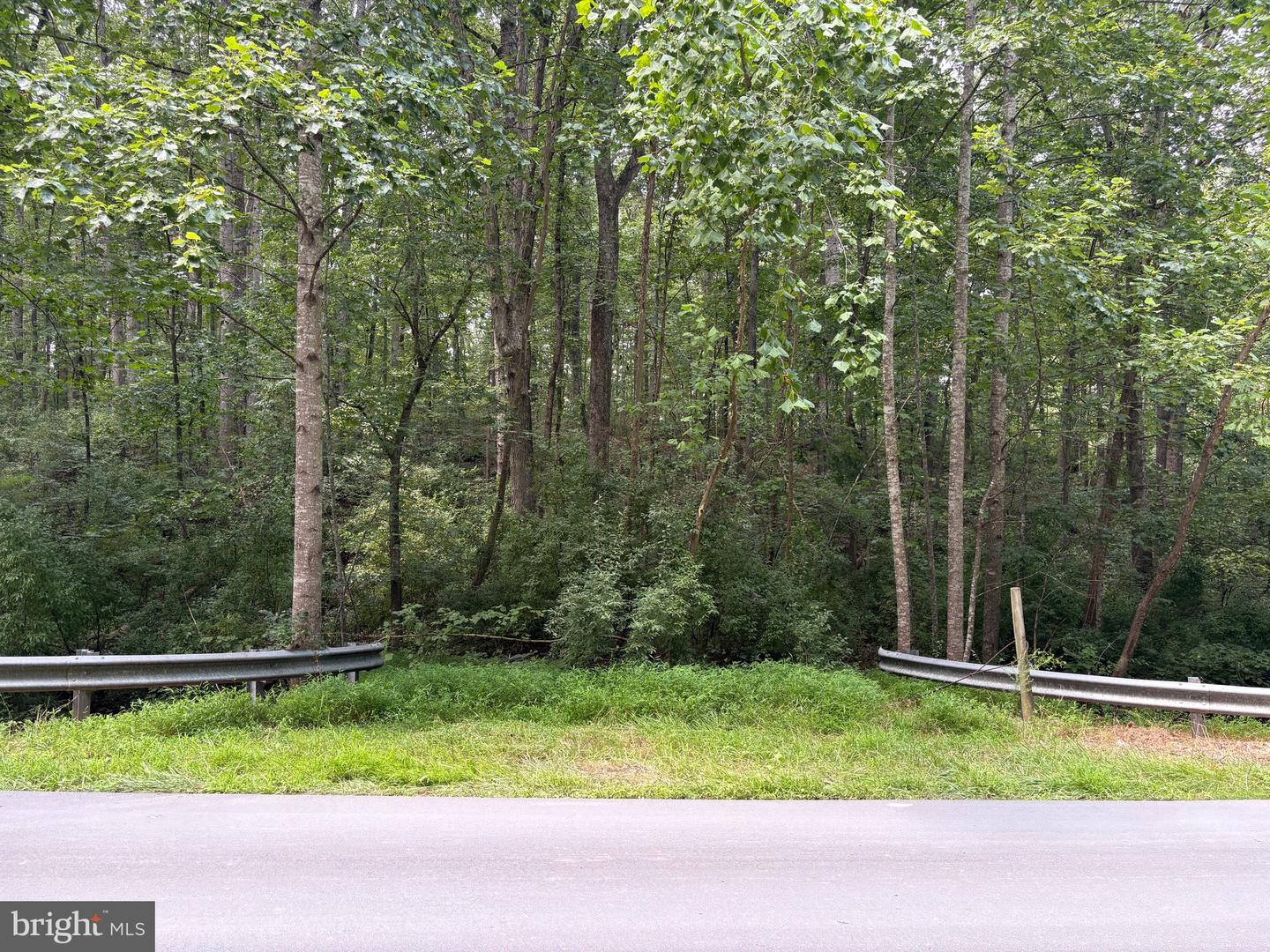 0 WEAVER ROAD, AMISSVILLE, Virginia 20106, ,Land,For sale,0 WEAVER ROAD,VARP2002216 MLS # VARP2002216