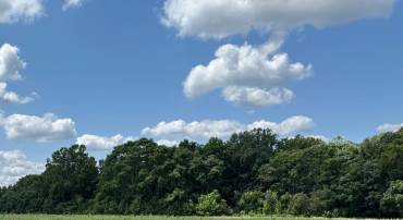 LOT 26 SALEM CHURCH RD, KING GEORGE, Virginia 22485, ,Land,For sale,LOT 26 SALEM CHURCH RD,VAKG2006848 MLS # VAKG2006848