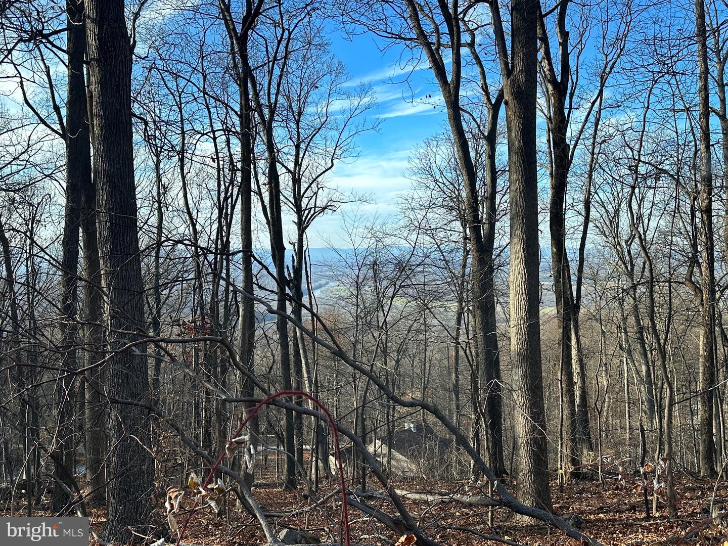 LOT 22A BAPTIST LN, LINDEN, Virginia 22642, ,Land,For sale,LOT 22A BAPTIST LN,VAWR2011912 MLS # VAWR2011912