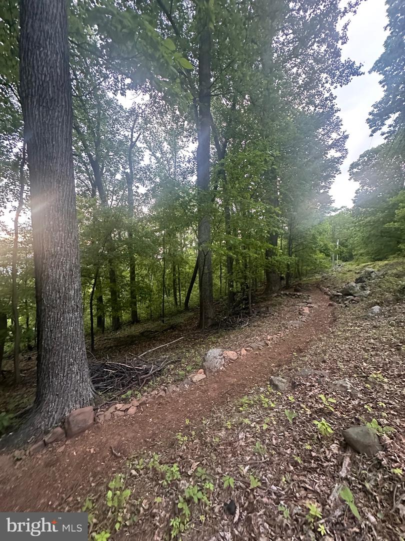 LOT 22A BAPTIST LN, LINDEN, Virginia 22642, ,Land,For sale,LOT 22A BAPTIST LN,VAWR2011912 MLS # VAWR2011912