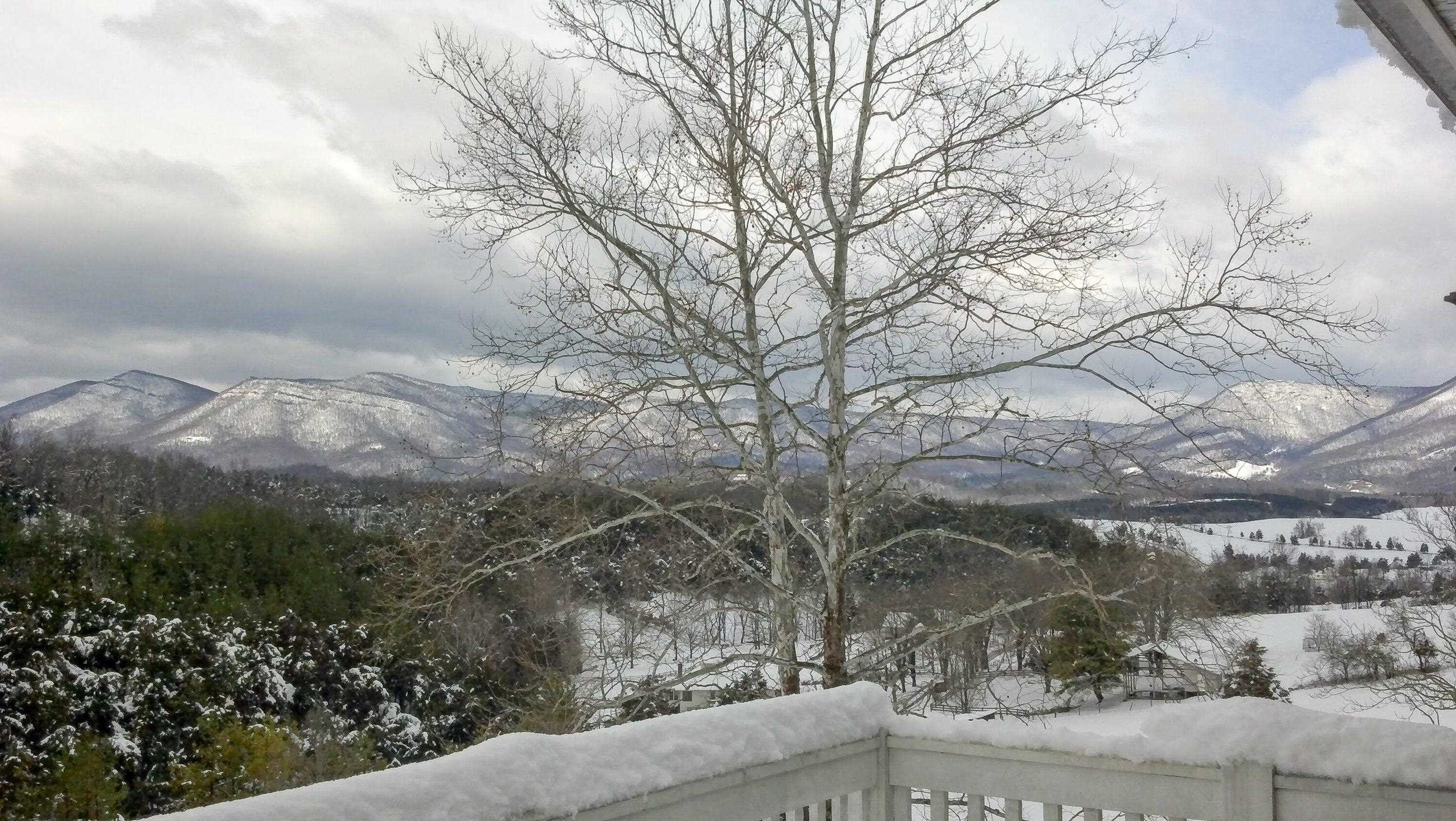 Splendor in the snow.