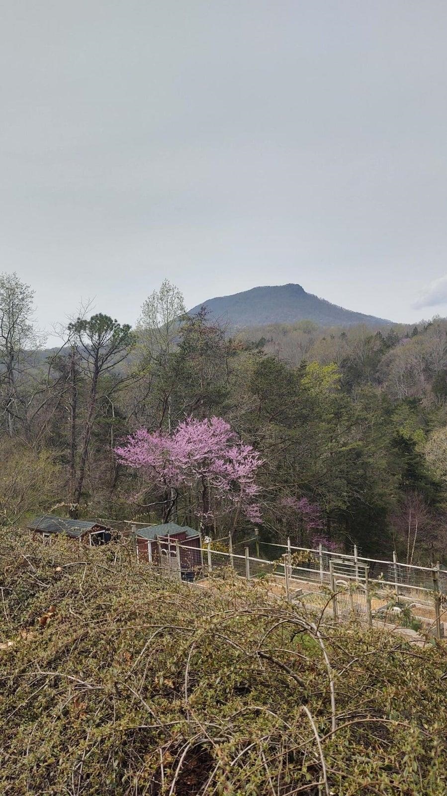 Spring time.