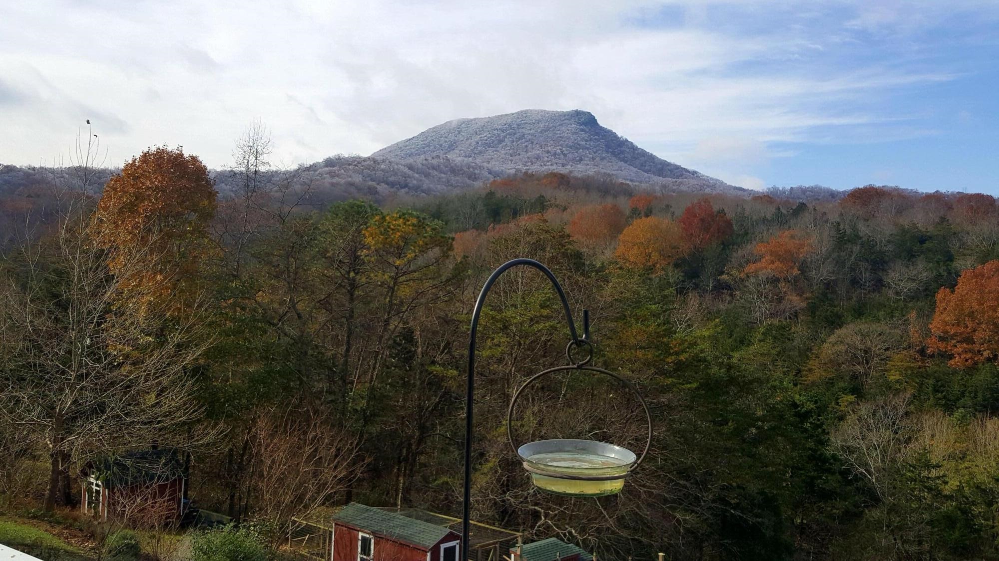 Frost on House Mountain.