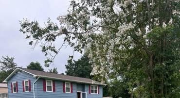 111 AUSTIN DR, STAFFORD, Virginia 22556, 4 Bedrooms Bedrooms, 6 Rooms Rooms,2 BathroomsBathrooms,Residential,For sale,111 AUSTIN DR,VAST2040446 MLS # VAST2040446