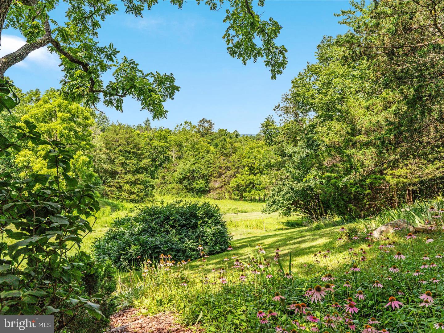2335 SAINT DAVIDS CHURCH RD, FORT VALLEY, Virginia 22652, 2 Bedrooms Bedrooms, 9 Rooms Rooms,2 BathroomsBathrooms,Residential,For sale,2335 SAINT DAVIDS CHURCH RD,VASH2011992 MLS # VASH2011992