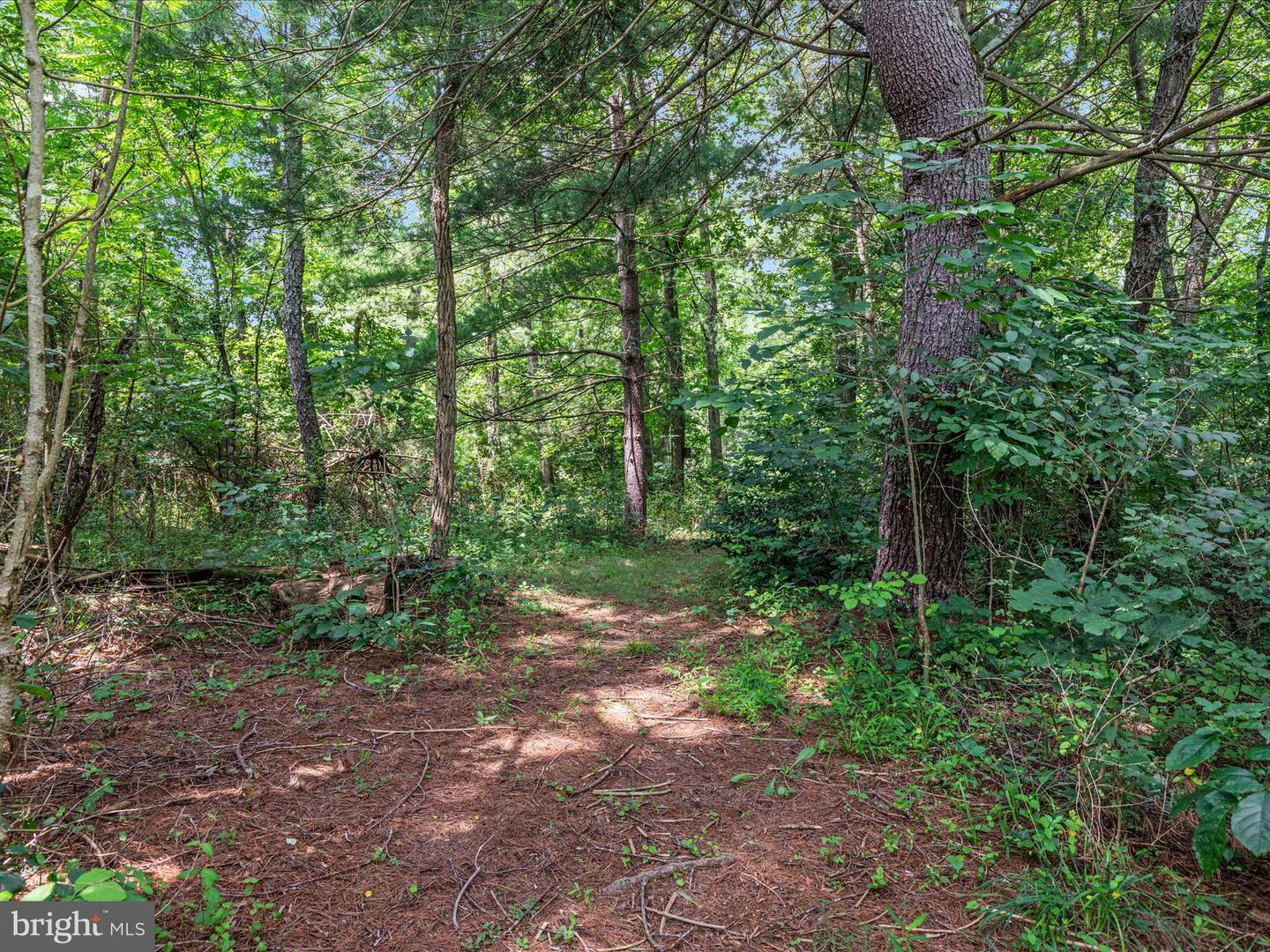 2335 SAINT DAVIDS CHURCH RD, FORT VALLEY, Virginia 22652, 2 Bedrooms Bedrooms, 9 Rooms Rooms,2 BathroomsBathrooms,Residential,For sale,2335 SAINT DAVIDS CHURCH RD,VASH2011992 MLS # VASH2011992