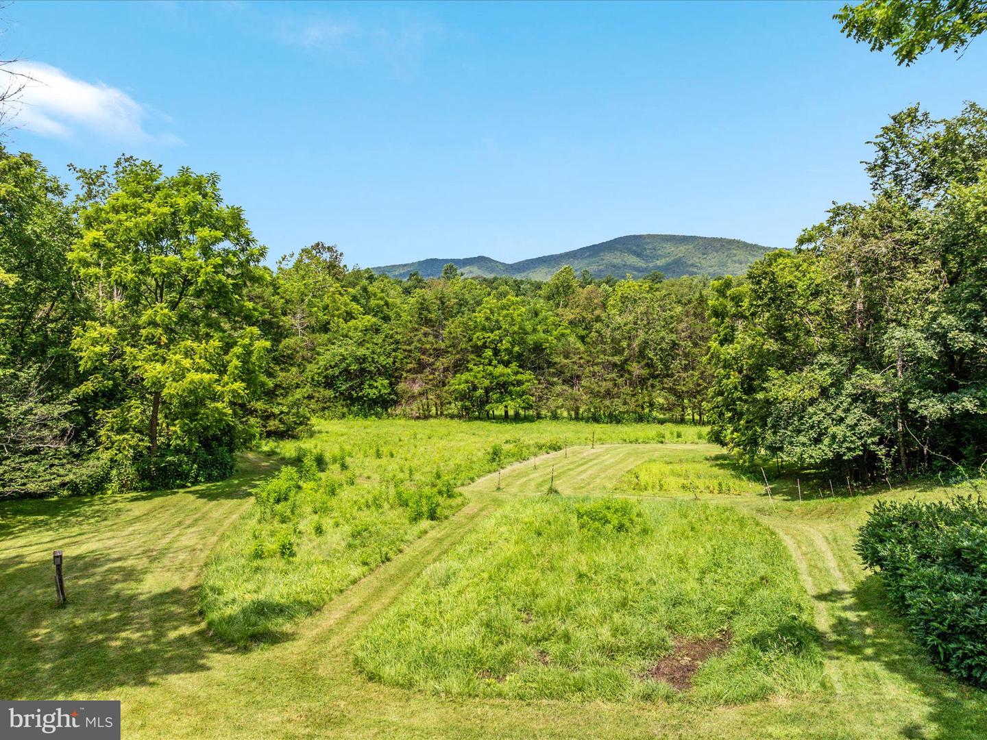2335 SAINT DAVIDS CHURCH RD, FORT VALLEY, Virginia 22652, 2 Bedrooms Bedrooms, 9 Rooms Rooms,2 BathroomsBathrooms,Residential,For sale,2335 SAINT DAVIDS CHURCH RD,VASH2011992 MLS # VASH2011992