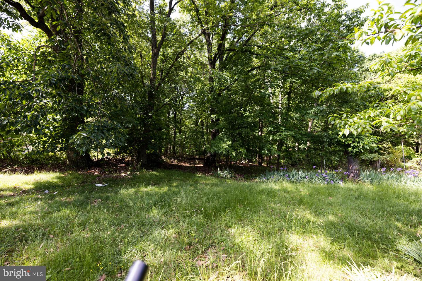 2921 LANGSTON PL SE, WASHINGTON, District Of Columbia 20020, 3 Bedrooms Bedrooms, ,1 BathroomBathrooms,Residential,For sale,2921 LANGSTON PL SE,DCDC2213972 MLS # DCDC2213972