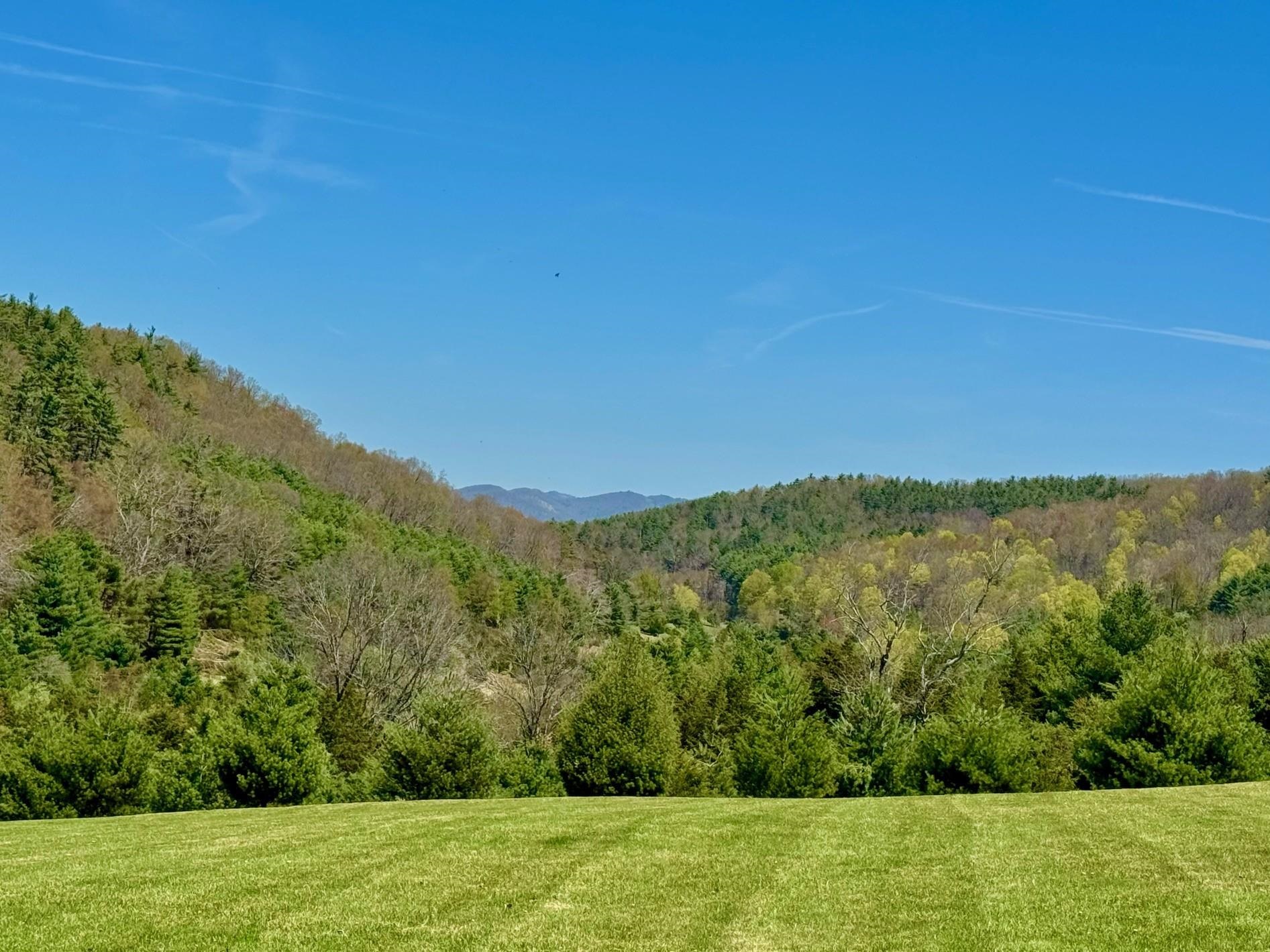 237 CADDIS FLY LN, SUGAR GROVE, Virginia 26815, ,Land,237 CADDIS FLY LN,667565 MLS # 667565