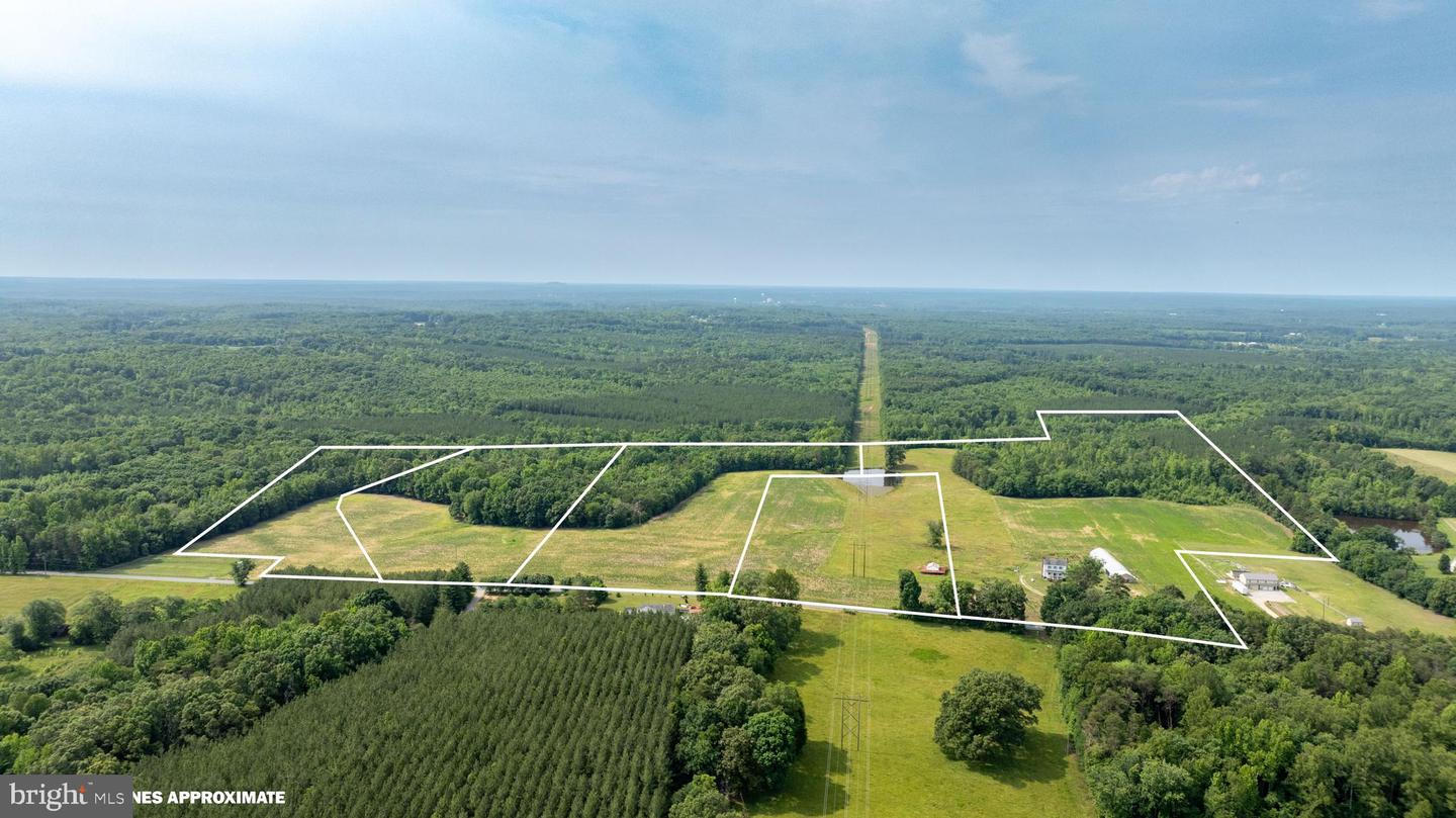 TBD RAINES TAVERN ROAD #1, FARMVILLE, Virginia 23901, ,Land,For sale,TBD RAINES TAVERN ROAD #1,VACB2000072 MLS # VACB2000072