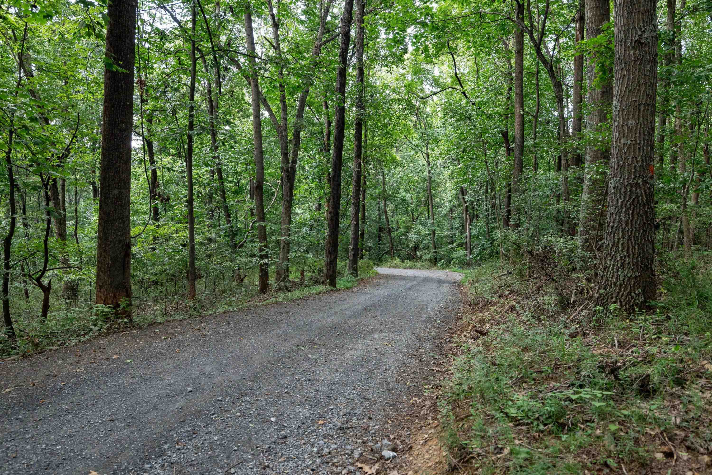 The gravel driveway offers wooded views for a portion of the drive.  This driveway offers lots of privacy.