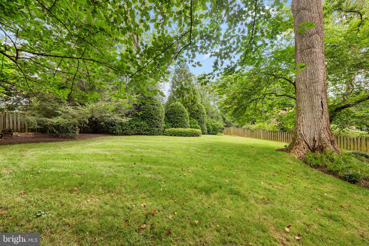 7204 ELIZABETH DR, MCLEAN, Virginia 22101, 4 Bedrooms Bedrooms, ,4 BathroomsBathrooms,Residential,For sale,7204 ELIZABETH DR,VAFX2259686 MLS # VAFX2259686