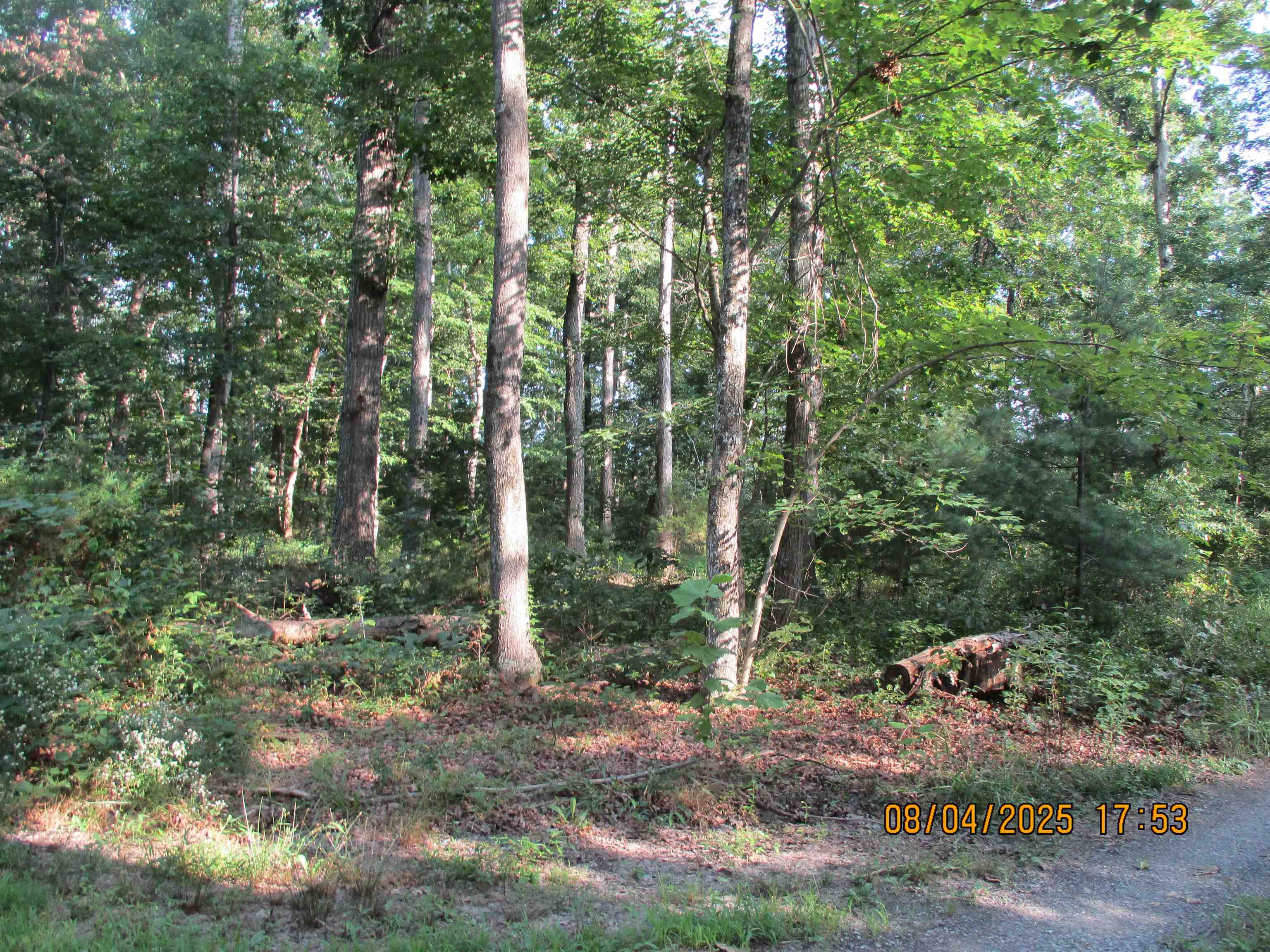 00 COREY LN, GROTTOES, Virginia 24441, ,Land,00 COREY LN,667592 MLS # 667592