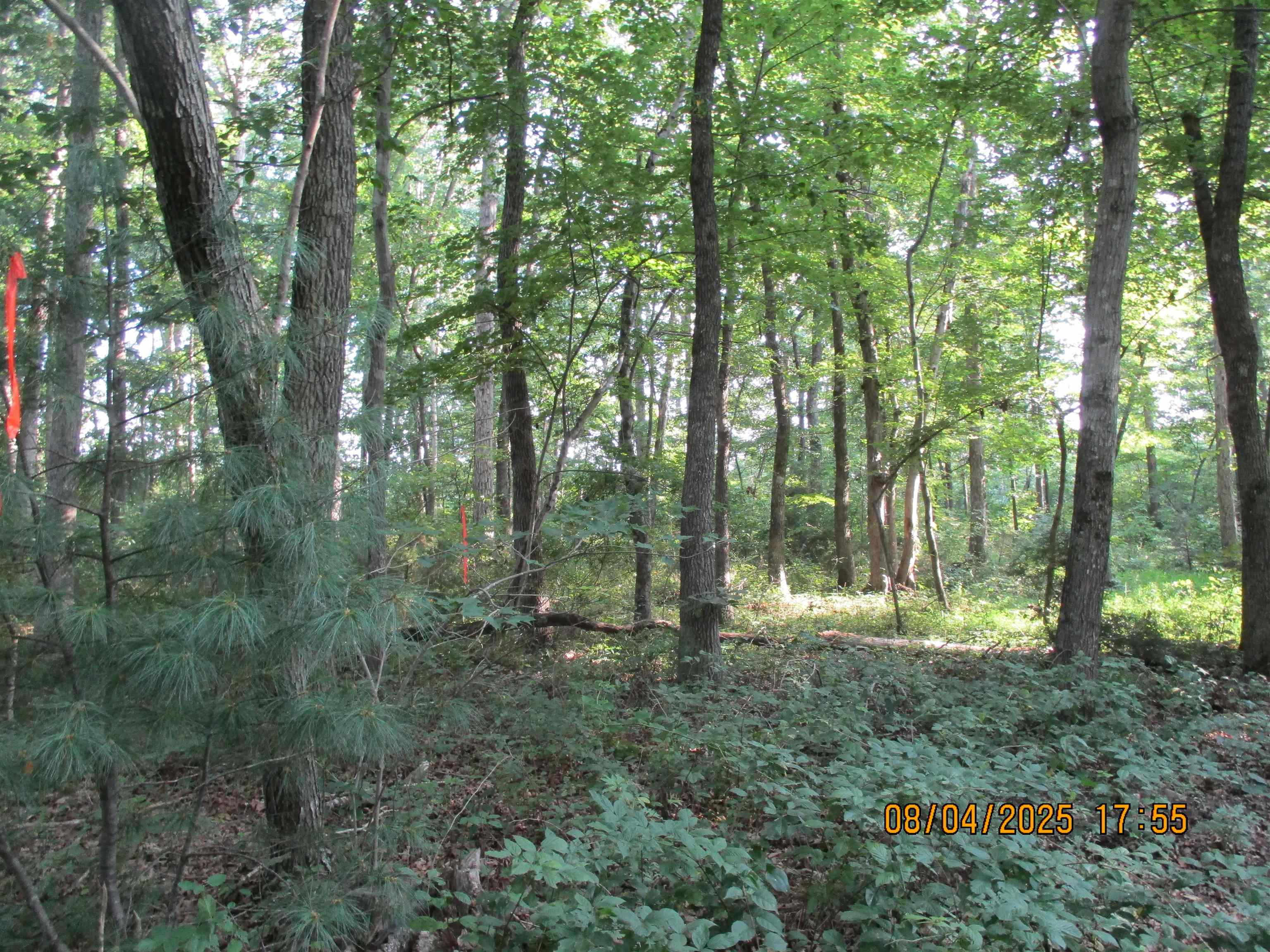00 COREY LN, GROTTOES, Virginia 24441, ,Land,00 COREY LN,667592 MLS # 667592