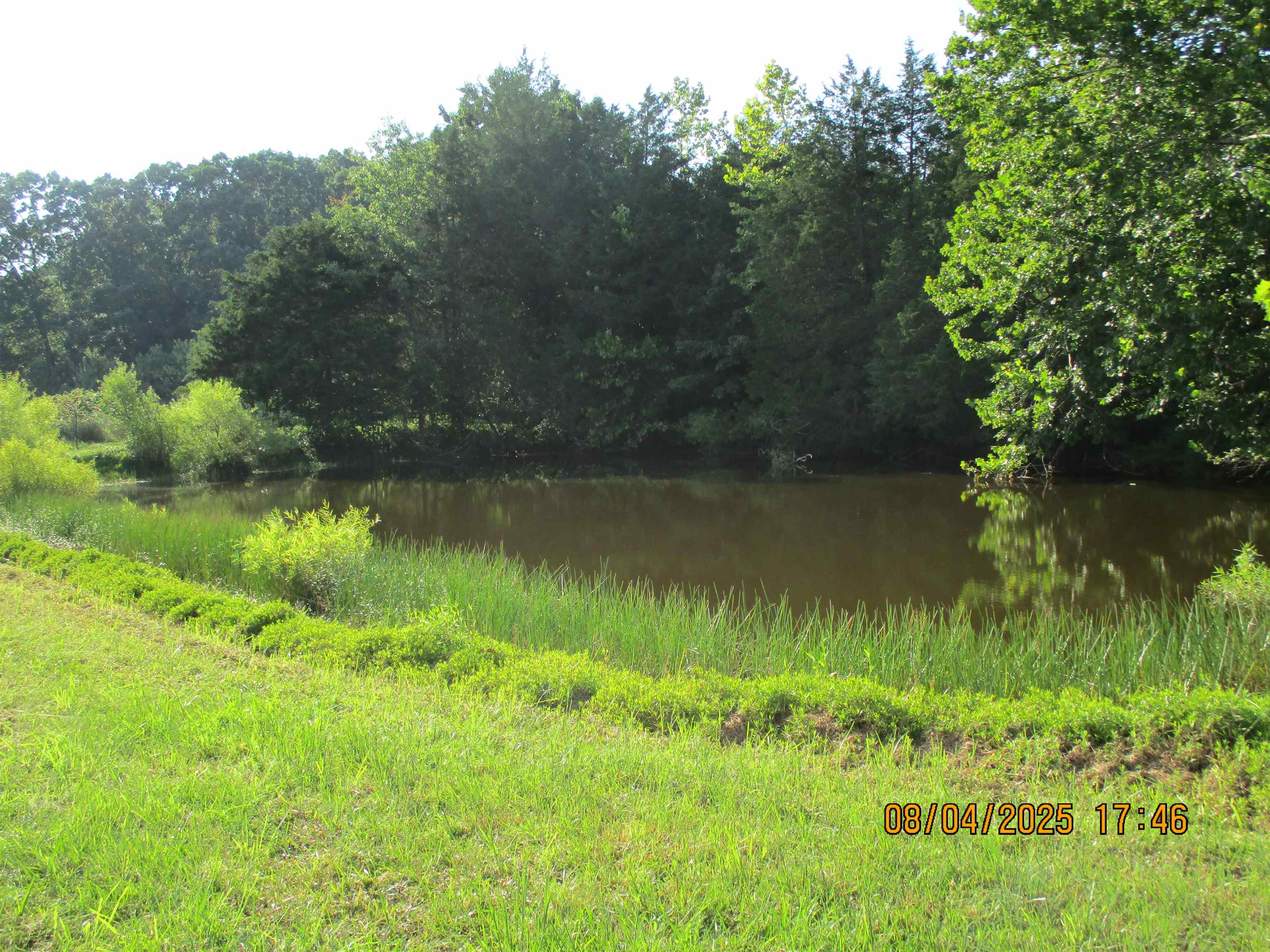 000 COREY LN, GROTTOES, Virginia 24441, ,Land,000 COREY LN,667594 MLS # 667594