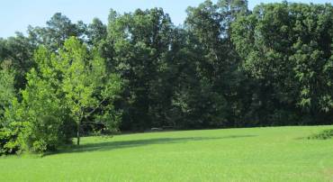 000 COREY LN, GROTTOES, Virginia 24441, ,Land,000 COREY LN,667594 MLS # 667594