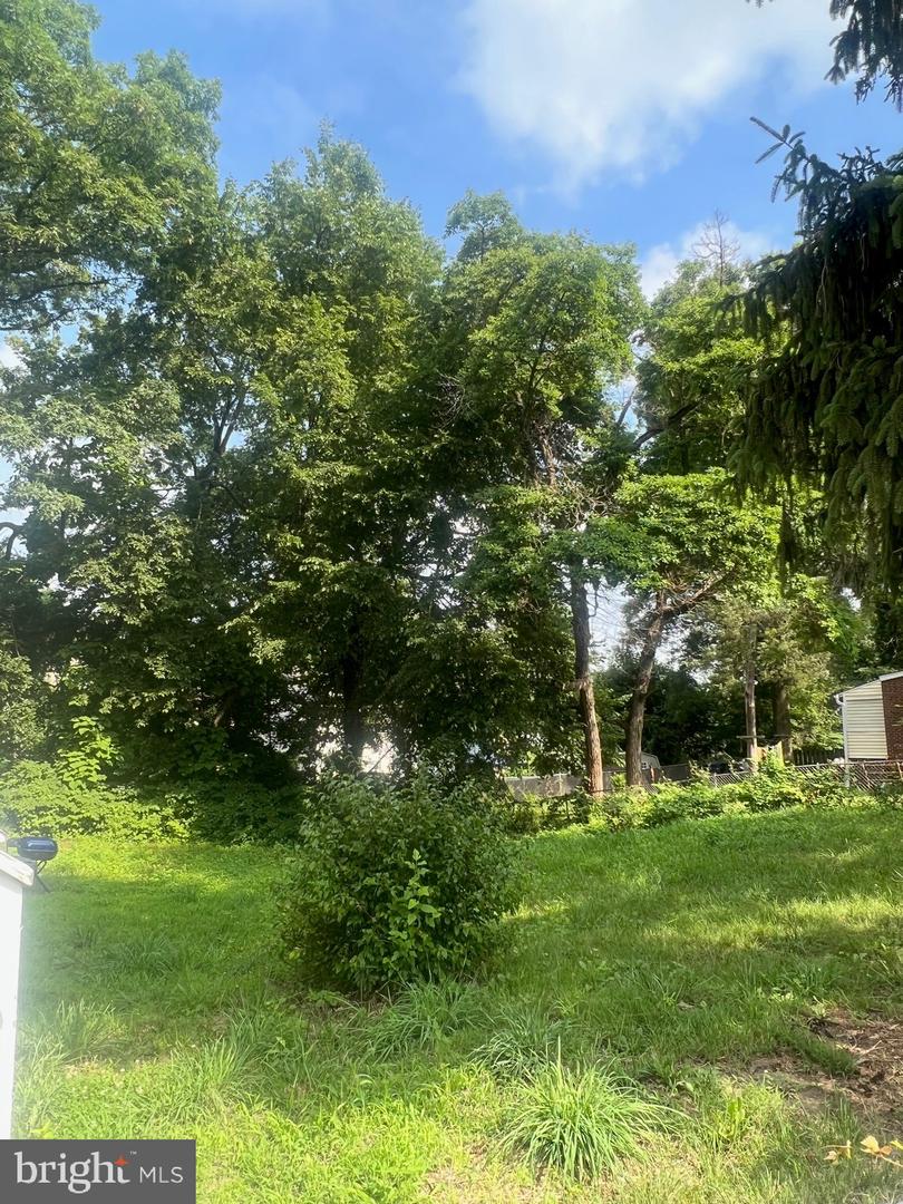 318 57TH ST NE, WASHINGTON, District Of Columbia 20019, ,Land,For sale,318 57TH ST NE,DCDC2214174 MLS # DCDC2214174