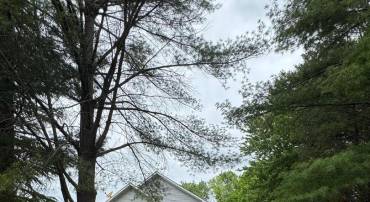 62 VISTA WOODS RD, STAFFORD, Virginia 22556, 3 Bedrooms Bedrooms, ,3 BathroomsBathrooms,Residential,For sale,62 VISTA WOODS RD,VAST2039146 MLS # VAST2039146
