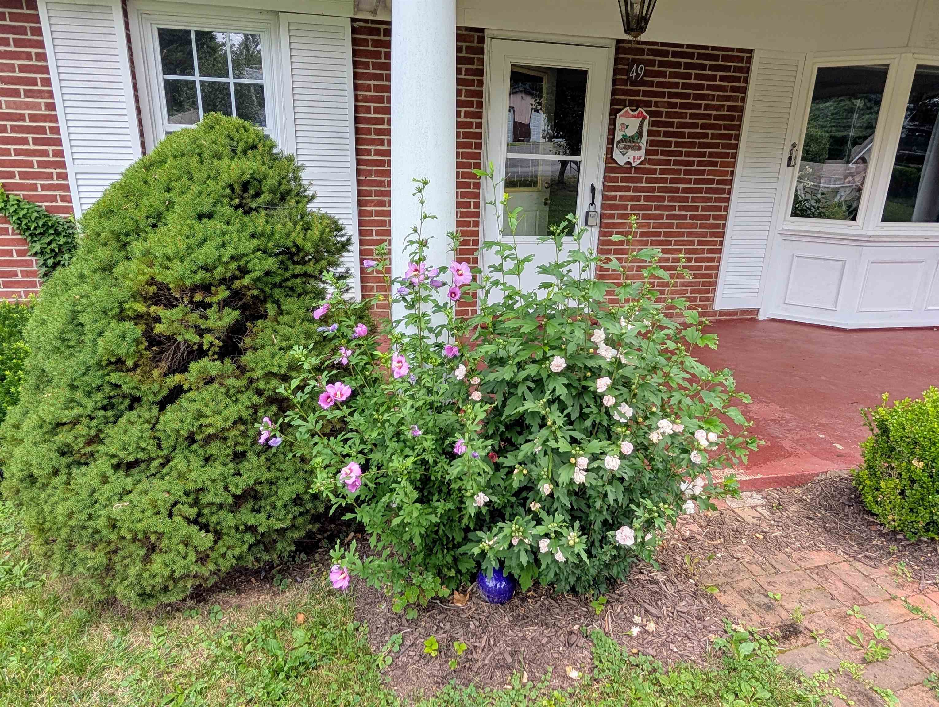 49 KINGSTOWN LN, HOT SPRINGS, Virginia 24445, 3 Bedrooms Bedrooms, ,2 BathroomsBathrooms,Residential,King,49 KINGSTOWN LN,667597 MLS # 667597