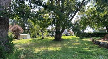 WAYLAND RD, CULPEPER, Virginia 22701, ,Land,For sale,WAYLAND RD,VACU2011224 MLS # VACU2011224