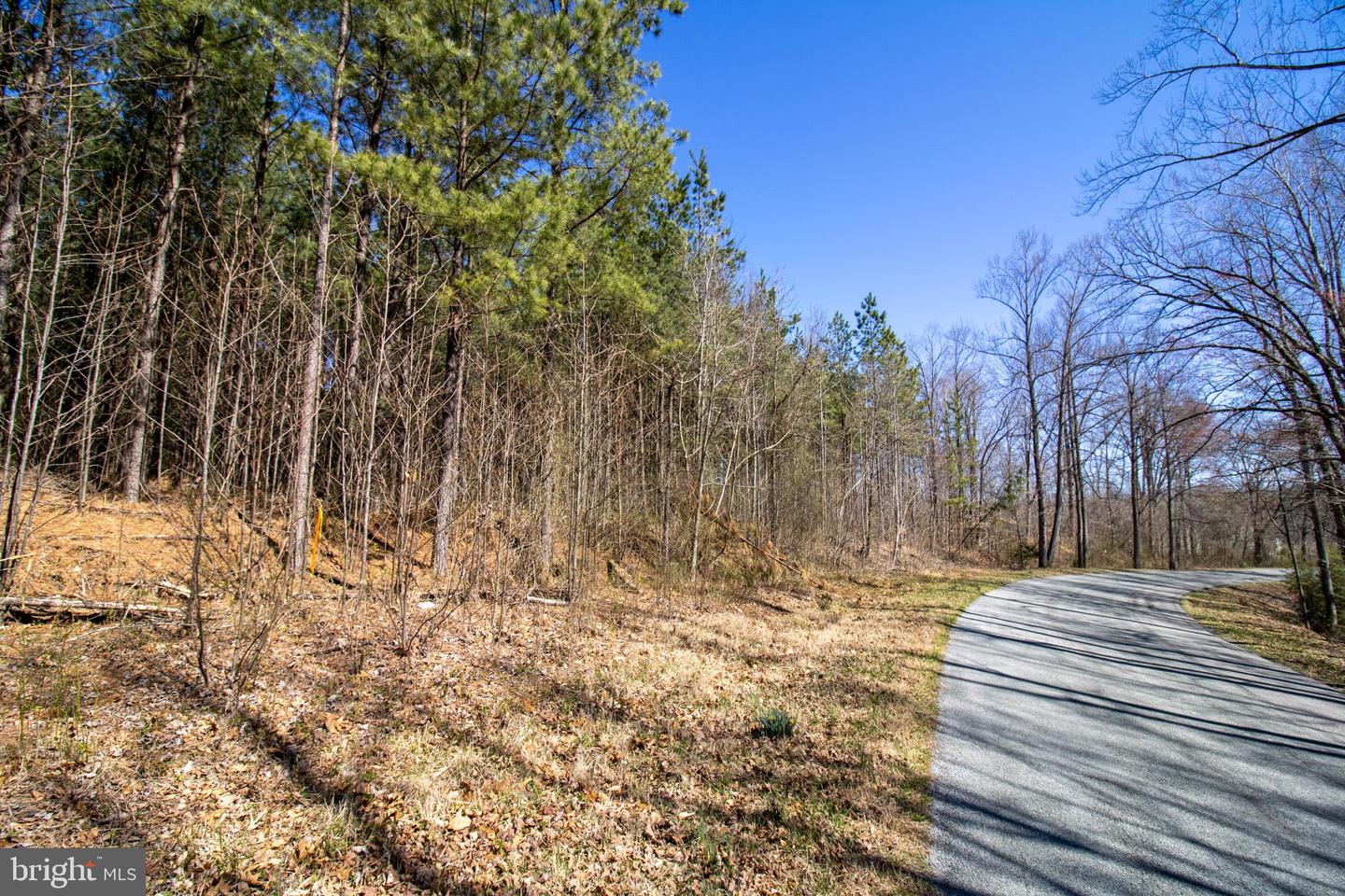TBD OLD FRANKLIN TURNPIKE #4, PENHOOK, Virginia 24137, ,Land,For sale,TBD OLD FRANKLIN TURNPIKE #4,VAFK2000084 MLS # VAFK2000084
