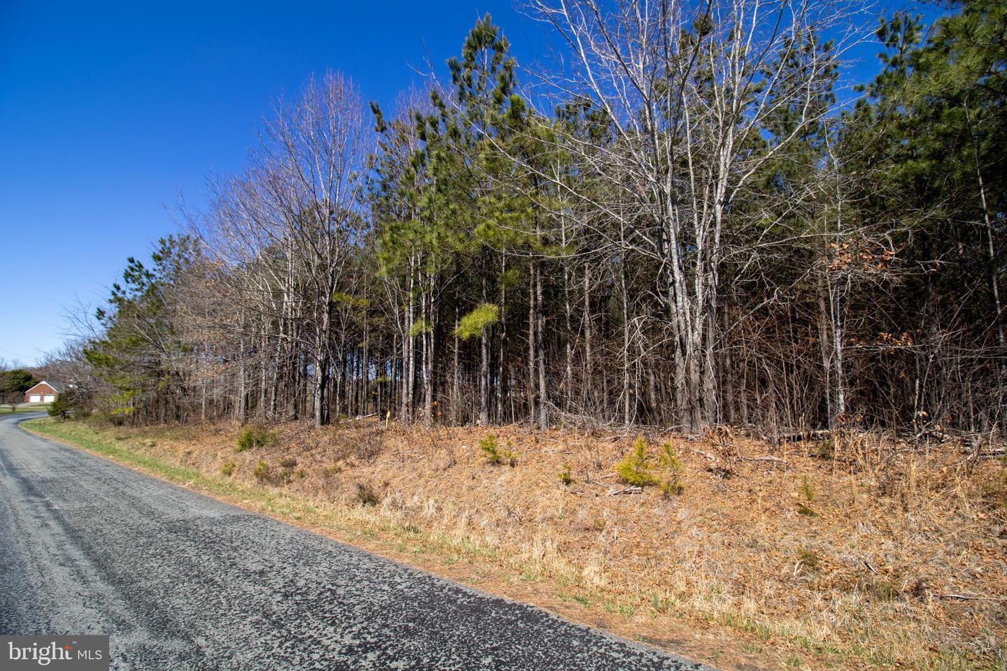 TBD OLD FRANKLIN TURNPIKE #4, PENHOOK, Virginia 24137, ,Land,For sale,TBD OLD FRANKLIN TURNPIKE #4,VAFK2000084 MLS # VAFK2000084