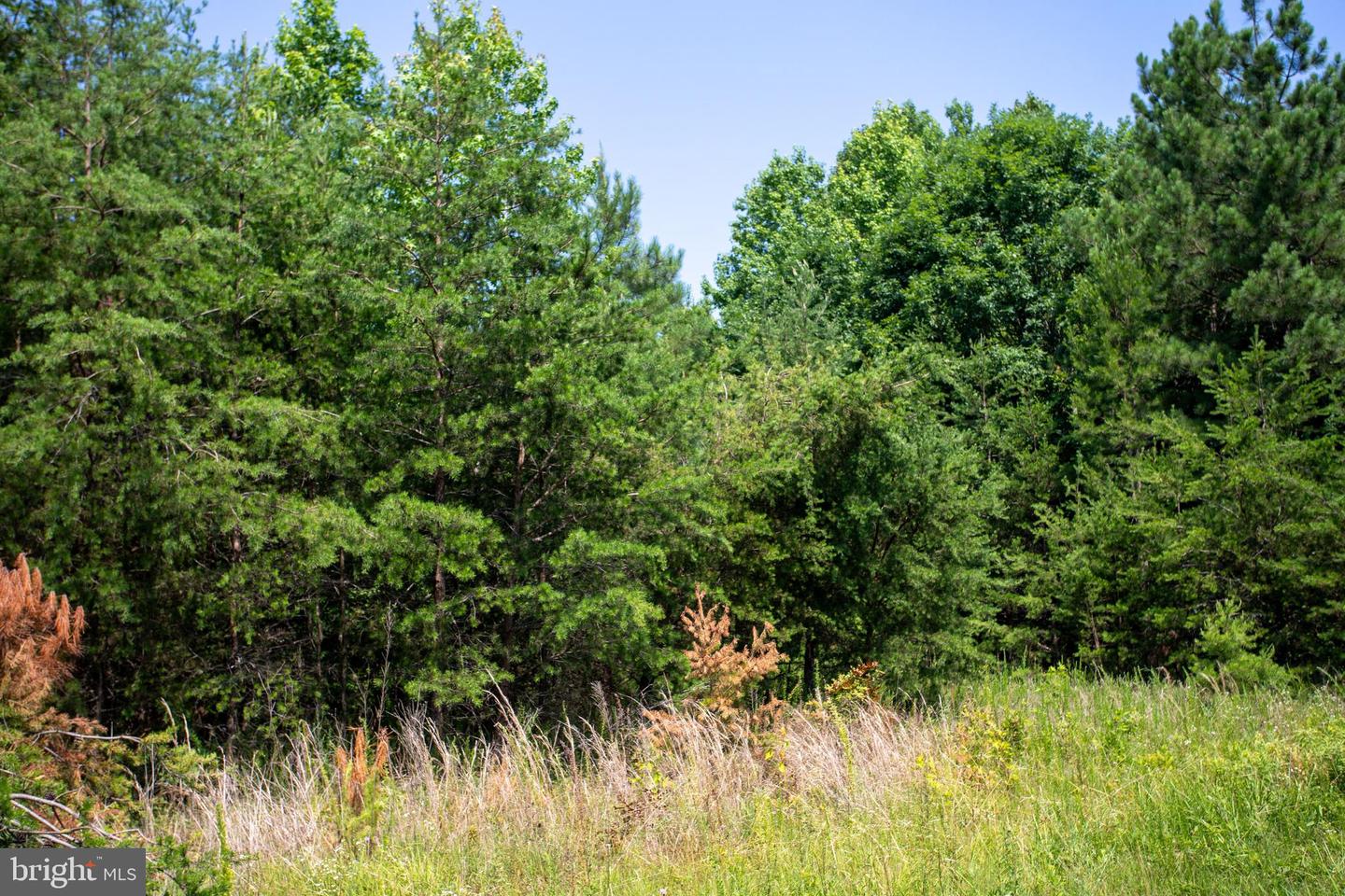 TBD SPRINGFIELD #1, MEHERRIN, Virginia 23954, ,Land,For sale,TBD SPRINGFIELD #1,VALB2000062 MLS # VALB2000062