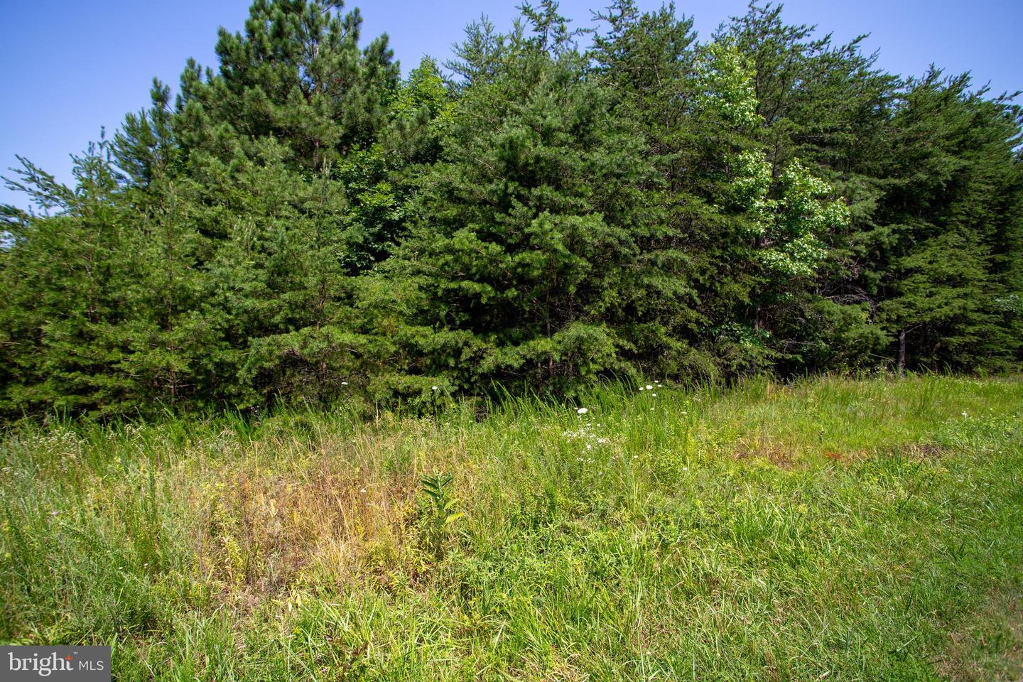 TBD SPRINGFIELD #1, MEHERRIN, Virginia 23954, ,Land,For sale,TBD SPRINGFIELD #1,VALB2000062 MLS # VALB2000062