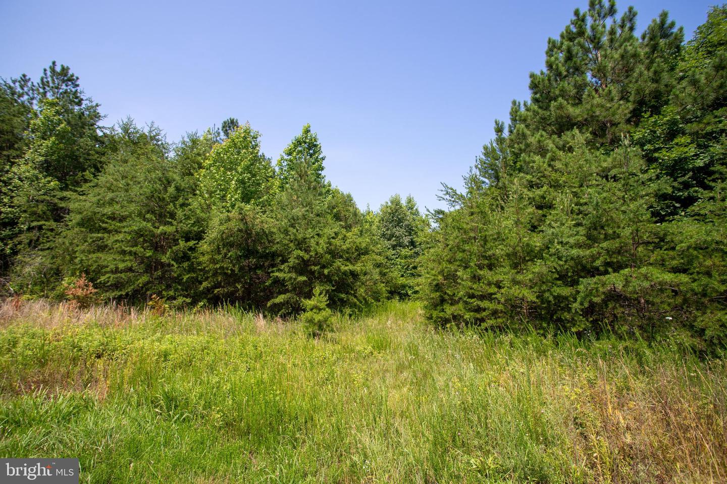 TBD SPRINGFIELD #1, MEHERRIN, Virginia 23954, ,Land,For sale,TBD SPRINGFIELD #1,VALB2000062 MLS # VALB2000062