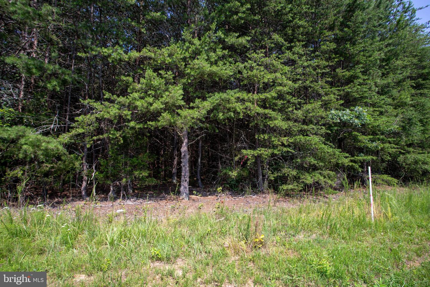 TBD SPRINGFIELD #1, MEHERRIN, Virginia 23954, ,Land,For sale,TBD SPRINGFIELD #1,VALB2000062 MLS # VALB2000062