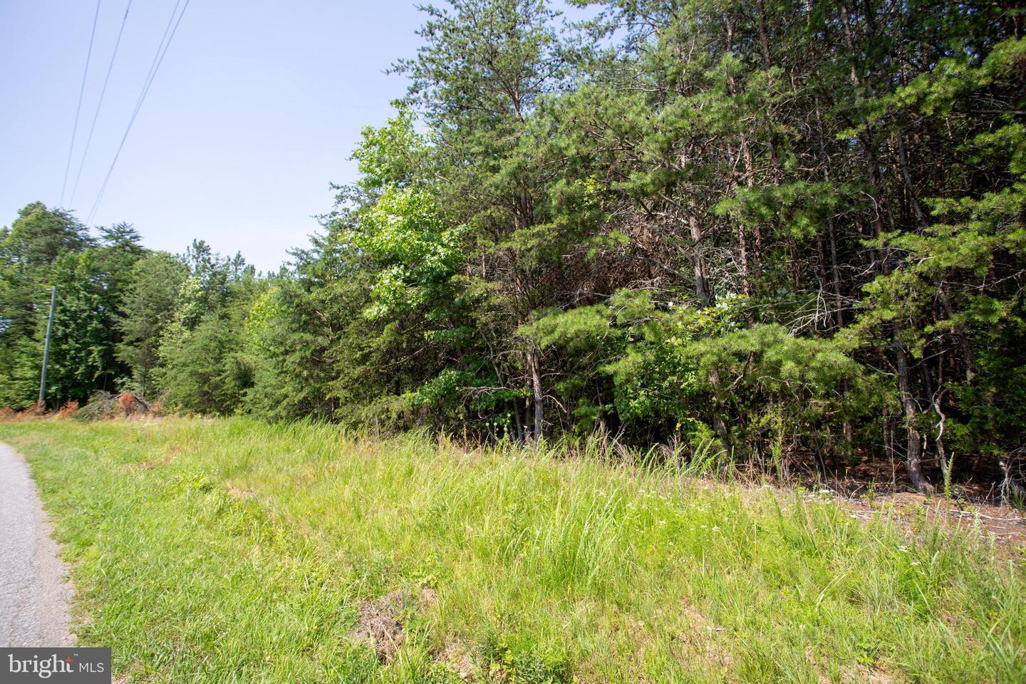 TBD SPRINGFIELD #1, MEHERRIN, Virginia 23954, ,Land,For sale,TBD SPRINGFIELD #1,VALB2000062 MLS # VALB2000062