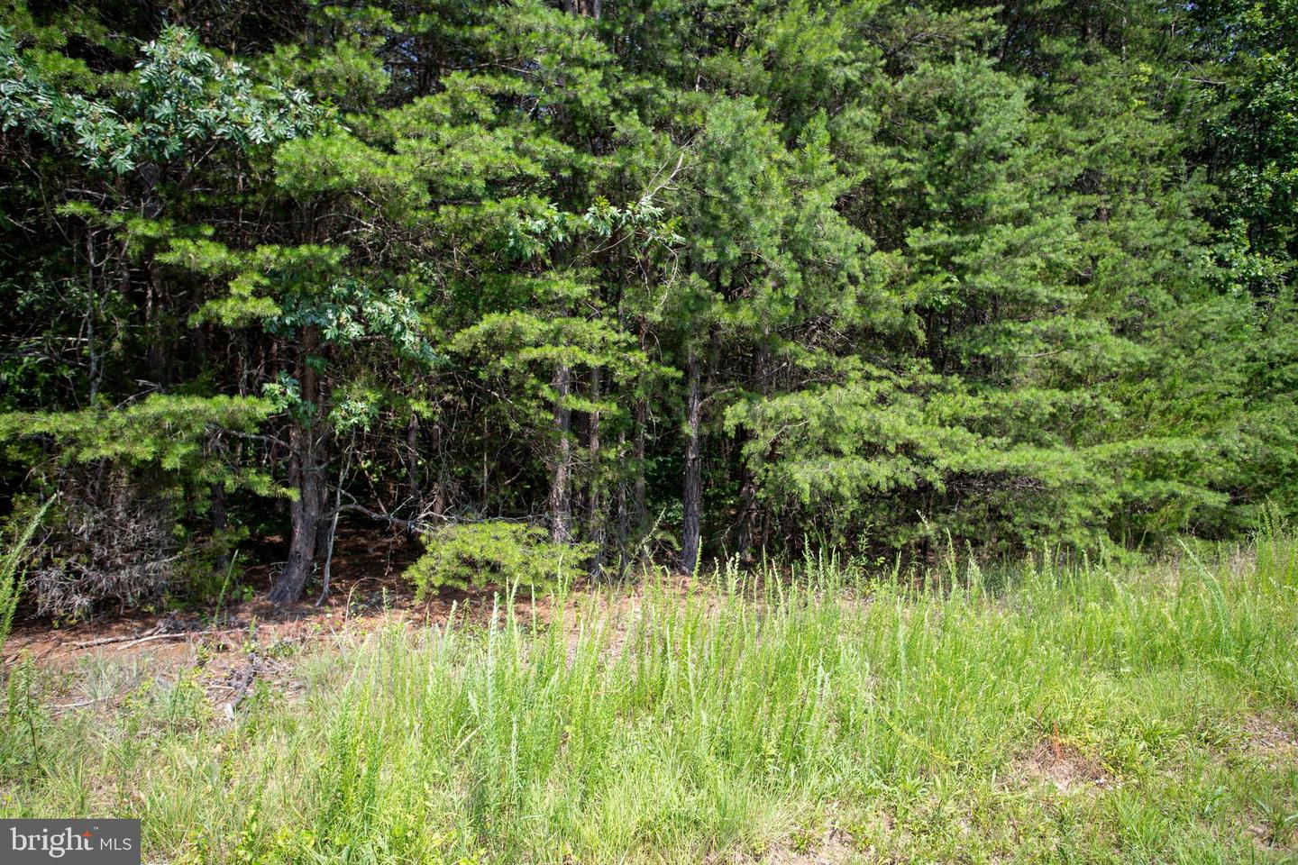 TBD SPRINGFIELD #1, MEHERRIN, Virginia 23954, ,Land,For sale,TBD SPRINGFIELD #1,VALB2000062 MLS # VALB2000062