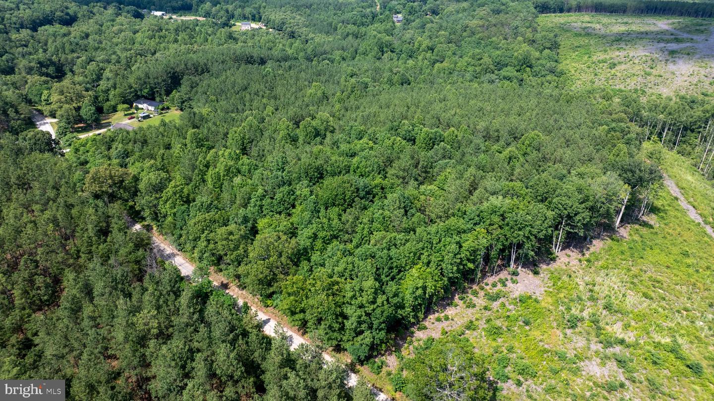 TBD SPRINGFIELD #1, MEHERRIN, Virginia 23954, ,Land,For sale,TBD SPRINGFIELD #1,VALB2000062 MLS # VALB2000062