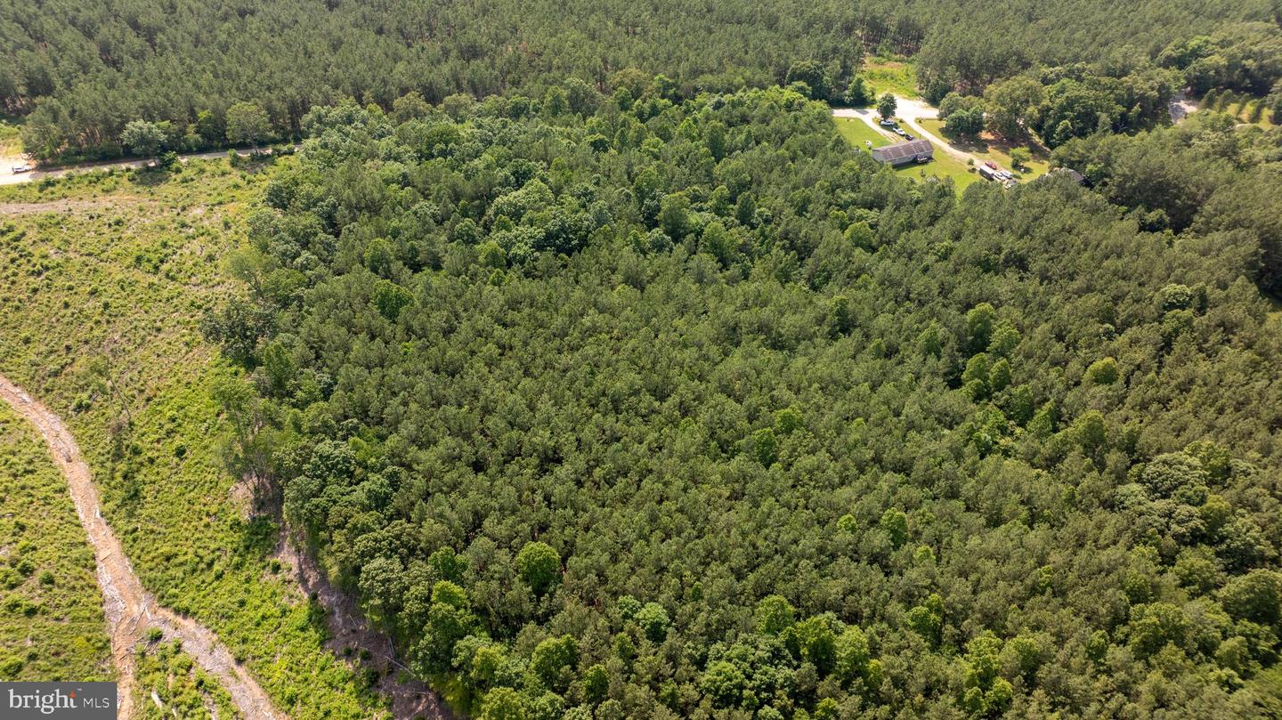 TBD SPRINGFIELD #1, MEHERRIN, Virginia 23954, ,Land,For sale,TBD SPRINGFIELD #1,VALB2000062 MLS # VALB2000062
