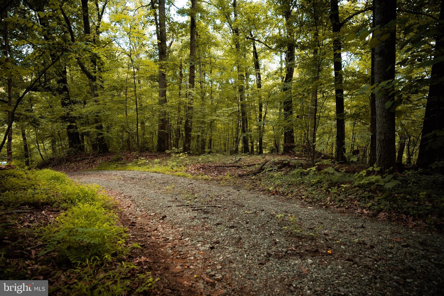 1 RAG HILL RD, SYRIA, Virginia 22743, ,Land,For sale,1 RAG HILL RD,VAMA2002354 MLS # VAMA2002354