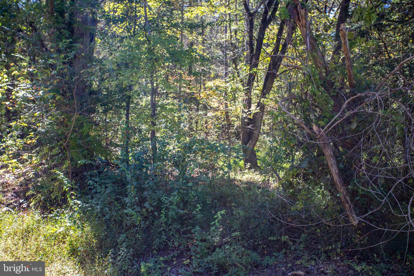 TBD RICHMOND HWY #3, GLADSTONE, Virginia 24553, ,Land,For sale,TBD RICHMOND HWY #3,VANL2000584 MLS # VANL2000584