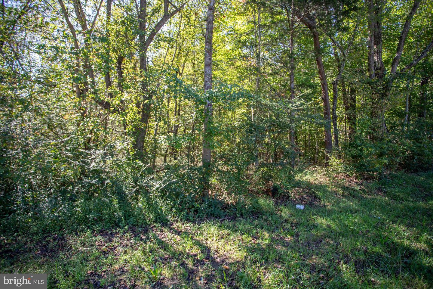 TBD RICHMOND HWY #3, GLADSTONE, Virginia 24553, ,Land,For sale,TBD RICHMOND HWY #3,VANL2000584 MLS # VANL2000584