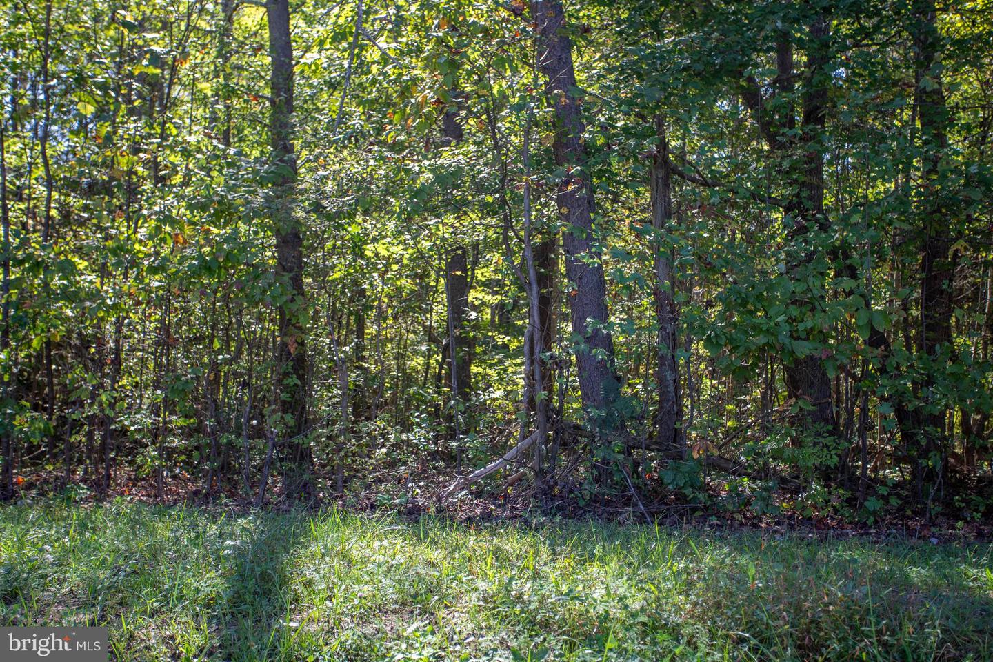 TBD RICHMOND HWY #3, GLADSTONE, Virginia 24553, ,Land,For sale,TBD RICHMOND HWY #3,VANL2000584 MLS # VANL2000584