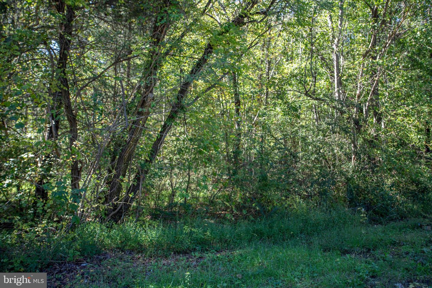TBD RICHMOND HWY #3, GLADSTONE, Virginia 24553, ,Land,For sale,TBD RICHMOND HWY #3,VANL2000584 MLS # VANL2000584
