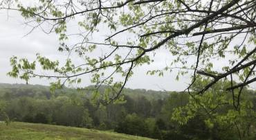 TBD REEVES MILL ROAD #23, SUTHERLIN, Virginia 24594, ,Land,For sale,TBD REEVES MILL ROAD #23,VAPI2000098 MLS # VAPI2000098
