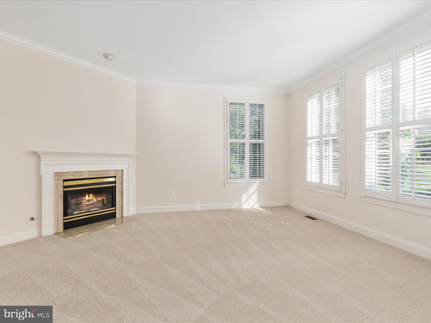 12028 WALNUT BRANCH RD, RESTON, Virginia 20194, 5 Bedrooms Bedrooms, ,5 BathroomsBathrooms,Residential,For sale,12028 WALNUT BRANCH RD,VAFX2247394 MLS # VAFX2247394
