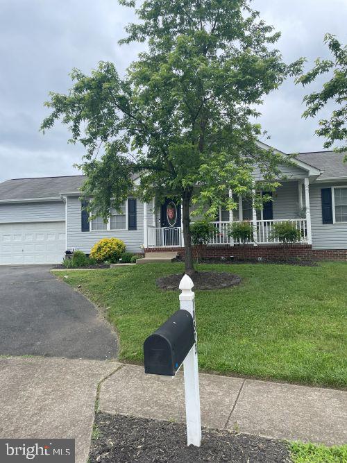 10803 ALLIE PL, FREDERICKSBURG, Virginia 22408, 3 Bedrooms Bedrooms, 8 Rooms Rooms,2 BathroomsBathrooms,Residential,For sale,10803 ALLIE PL,VASP2035184 MLS # VASP2035184