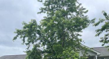 10803 ALLIE PL, FREDERICKSBURG, Virginia 22408, 3 Bedrooms Bedrooms, 8 Rooms Rooms,2 BathroomsBathrooms,Residential,For sale,10803 ALLIE PL,VASP2035184 MLS # VASP2035184