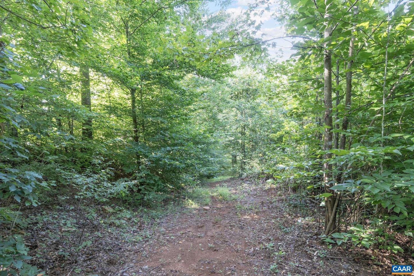 3462 SCOTTSVILLE RD, CHARLOTTESVILLE, Virginia 22902, 4 Bedrooms Bedrooms, ,3 BathroomsBathrooms,Residential,For sale,3462 SCOTTSVILLE RD,667537 MLS # 667537