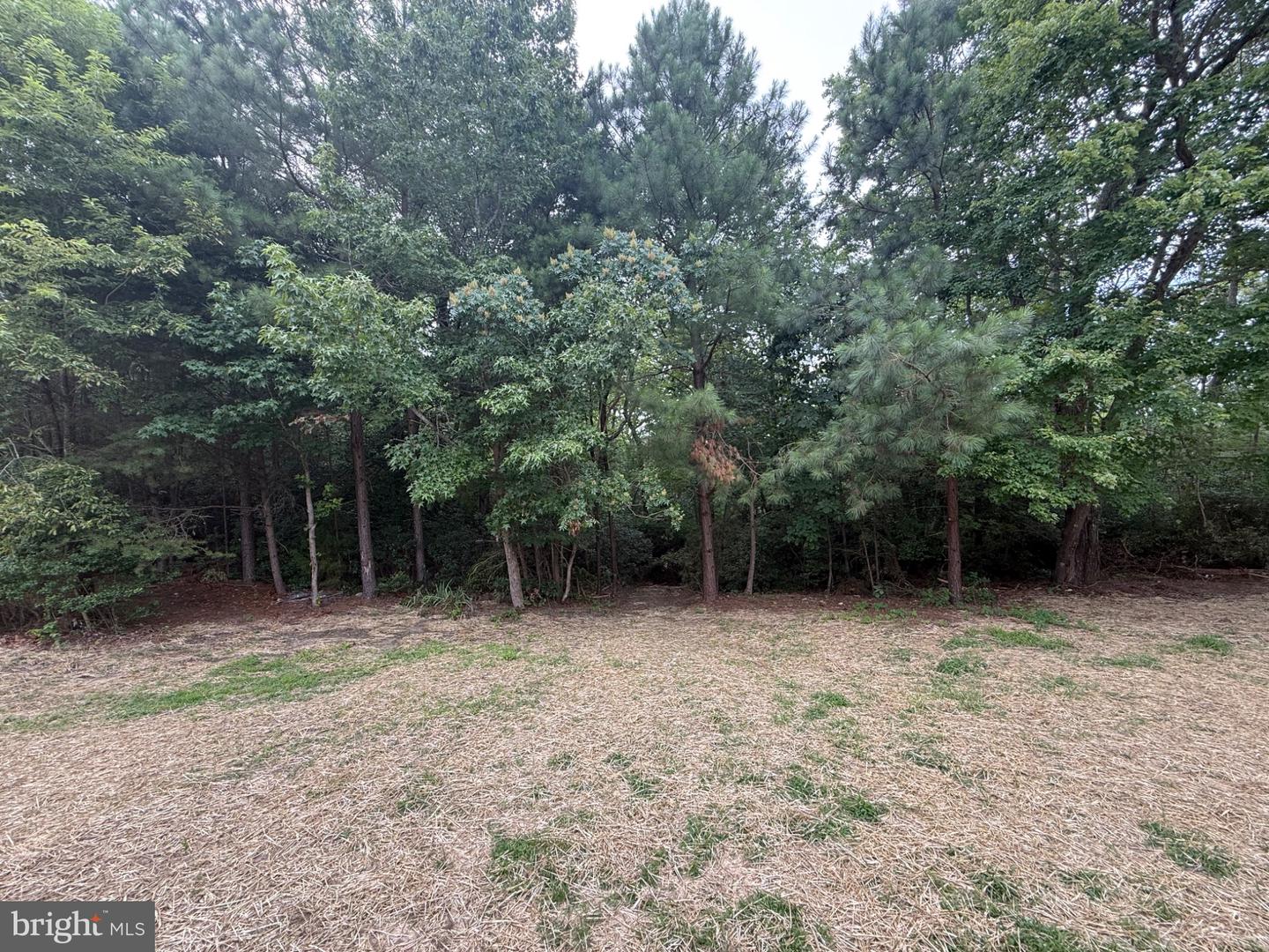 185 WOODBERRY DR, MONTROSS, Virginia 22520, 4 Bedrooms Bedrooms, 10 Rooms Rooms,2 BathroomsBathrooms,Residential,For sale,185 WOODBERRY DR,VAWE2009482 MLS # VAWE2009482