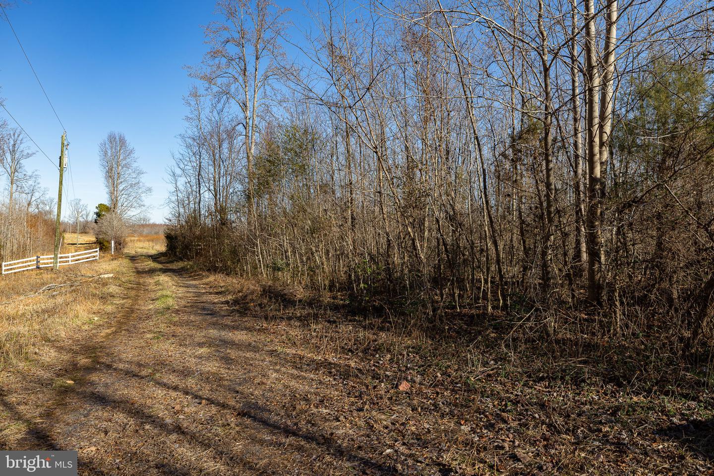 8311 DAISY LN, KING GEORGE, Virginia 22485, ,Land,For sale,8311 DAISY LN,VAKG2005936 MLS # VAKG2005936