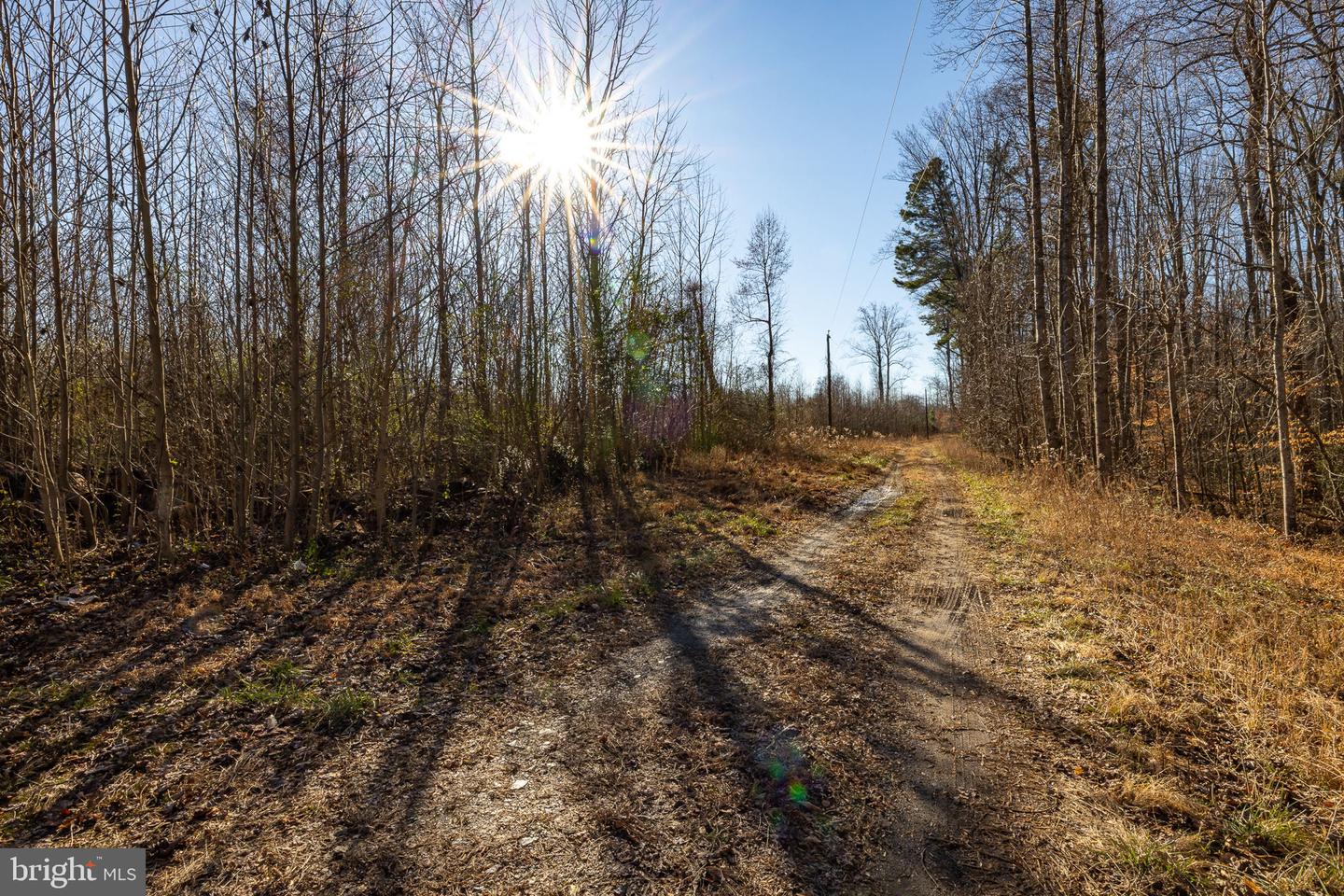 8311 DAISY LN, KING GEORGE, Virginia 22485, ,Land,For sale,8311 DAISY LN,VAKG2005936 MLS # VAKG2005936