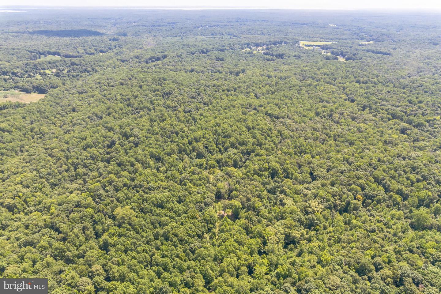BELLE DR, KING GEORGE, Virginia 22485, ,Land,For sale,BELLE DR,VAKG2006212 MLS # VAKG2006212