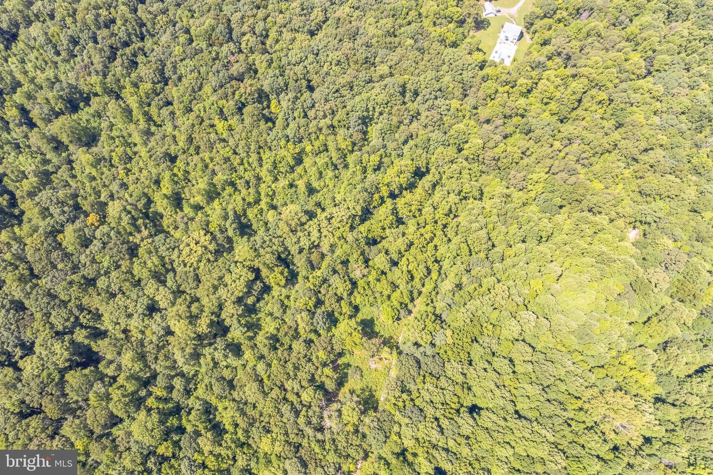 BELLE DR, KING GEORGE, Virginia 22485, ,Land,For sale,BELLE DR,VAKG2006212 MLS # VAKG2006212