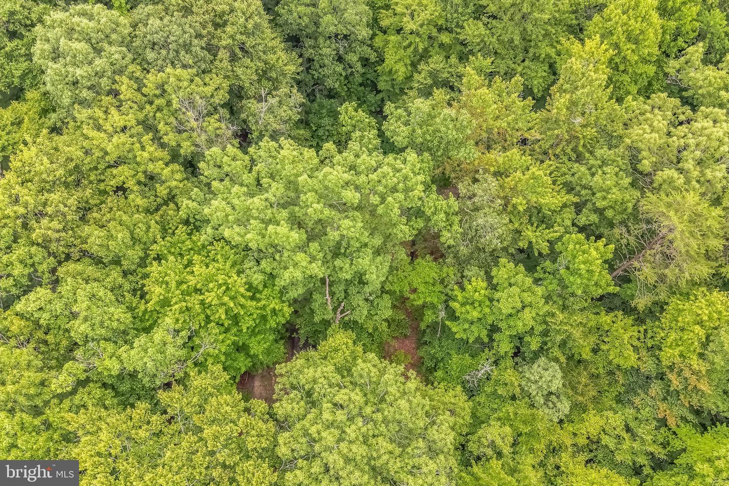 BELLE DR, KING GEORGE, Virginia 22485, ,Land,For sale,BELLE DR,VAKG2006212 MLS # VAKG2006212